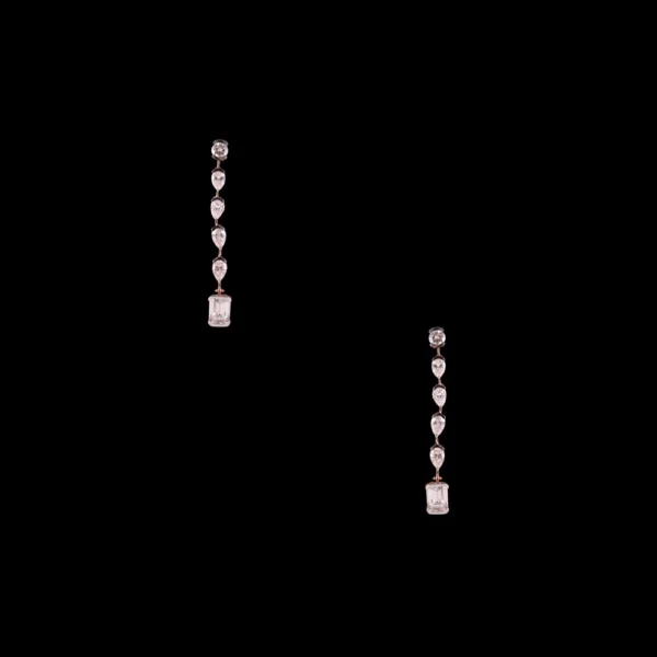 ER2738-2